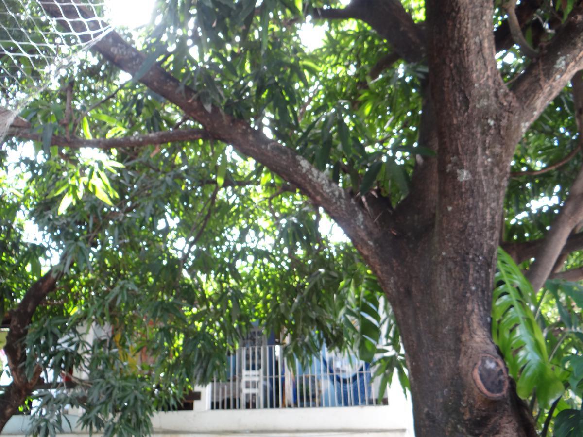 Casa De Temporada Das Mangueiras Olinda Luaran gambar